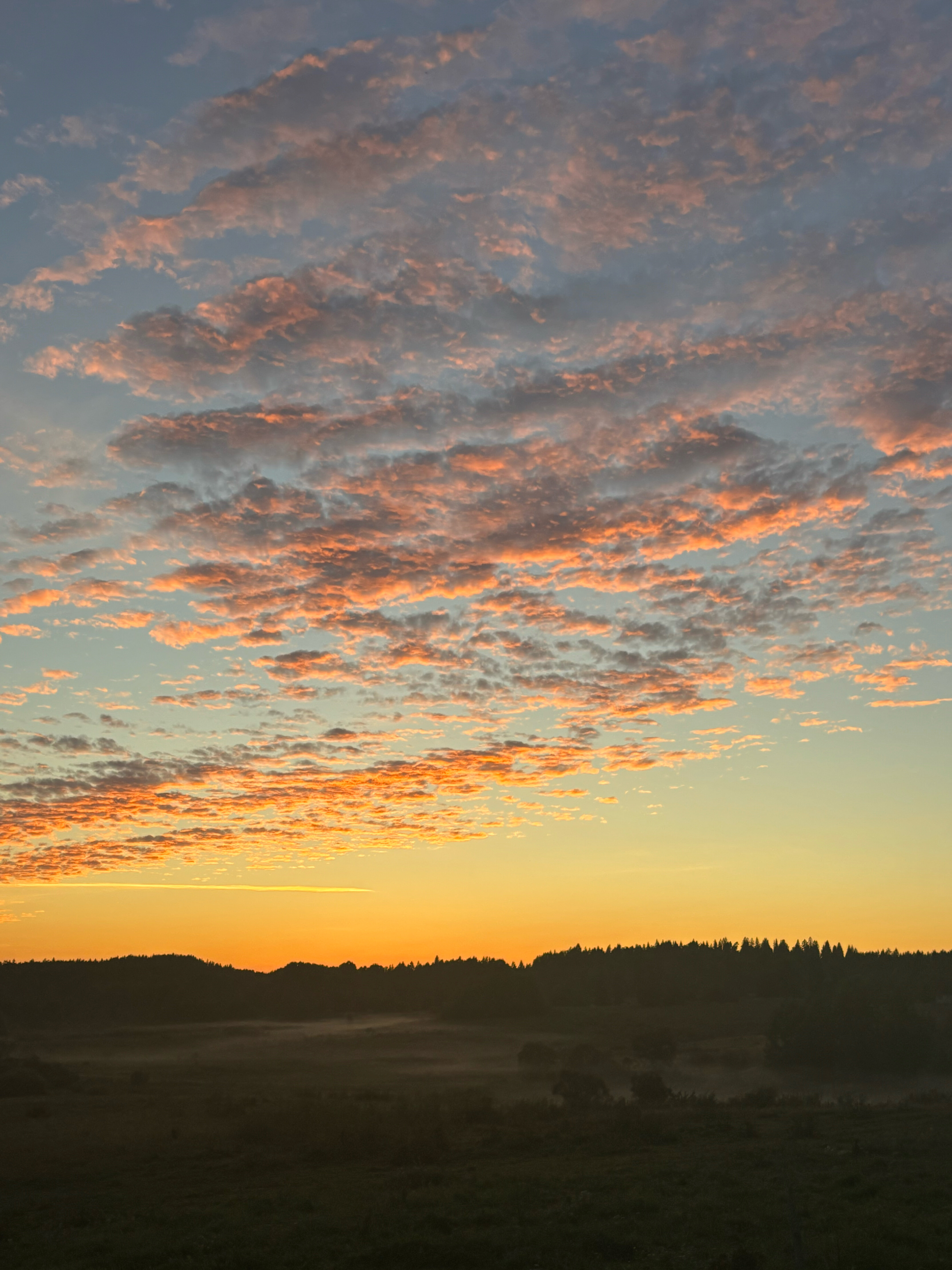 Фото Конюшенный двор
