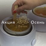 Beauty space Lotos (Privolnaya Street, 70), beauty salon