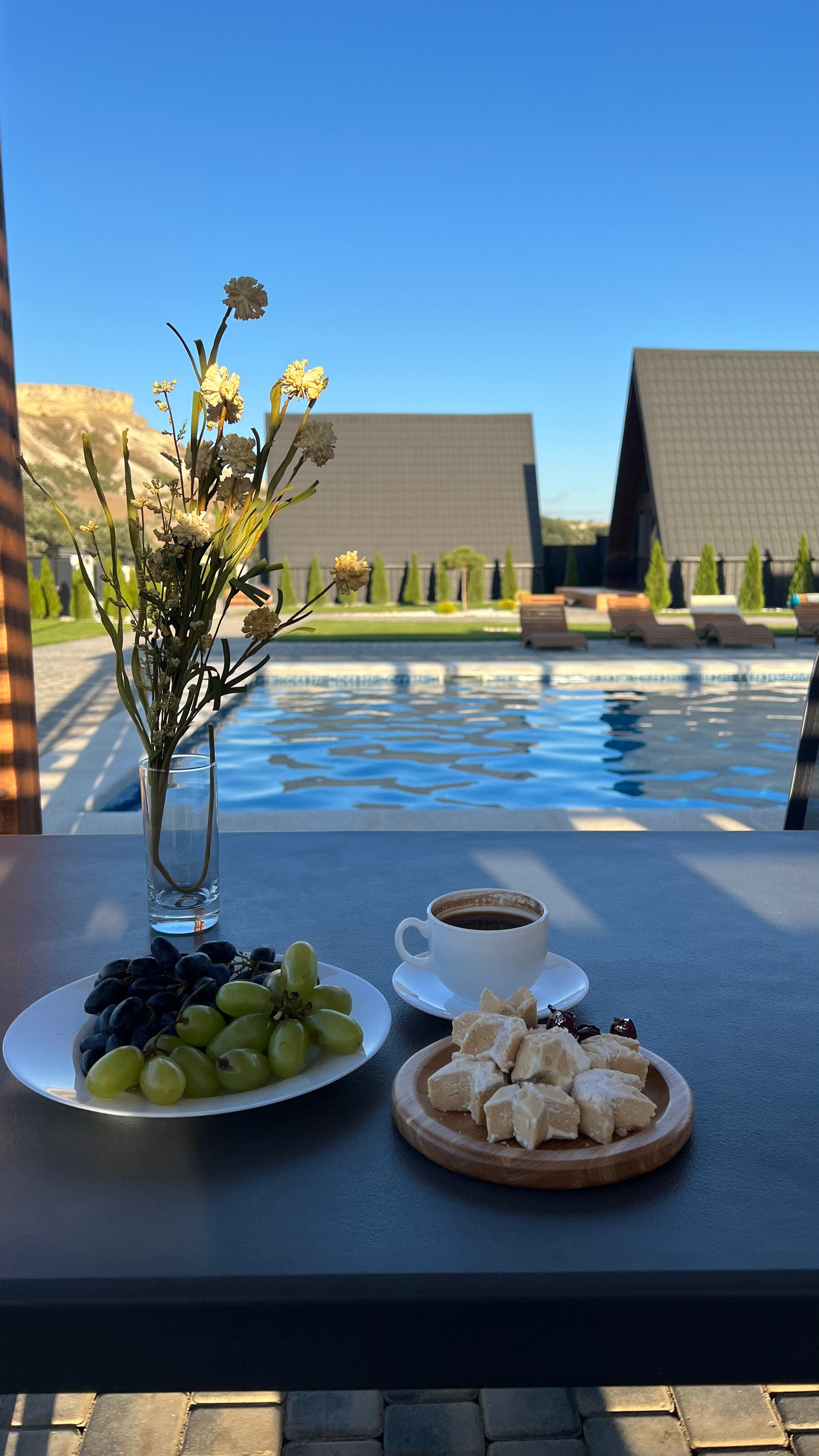 Фото Шелест