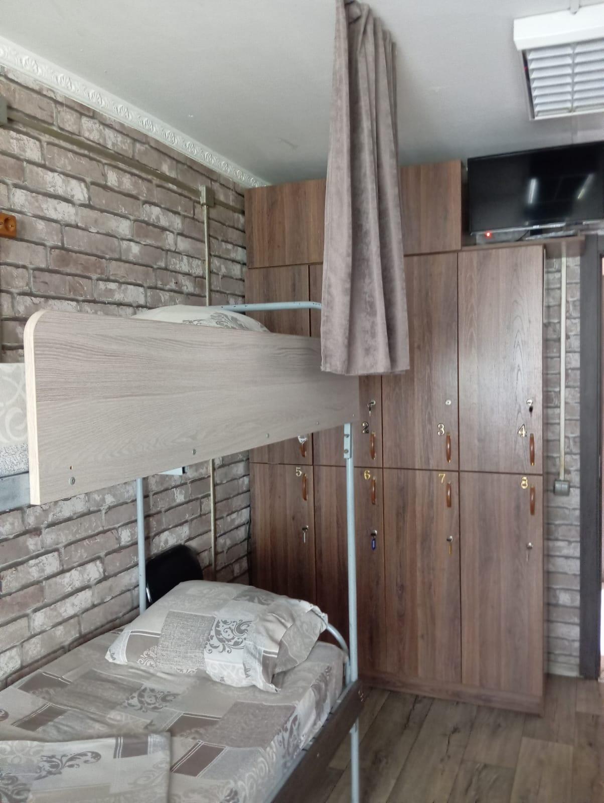 Фото Подсолнух