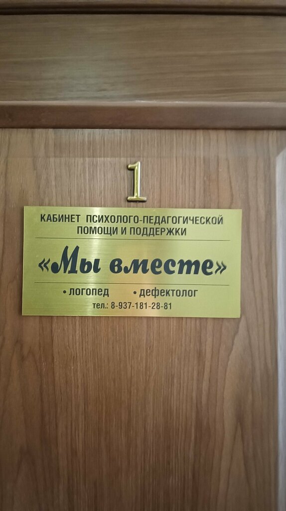 Speech therapists Мы вместе, Samara, photo