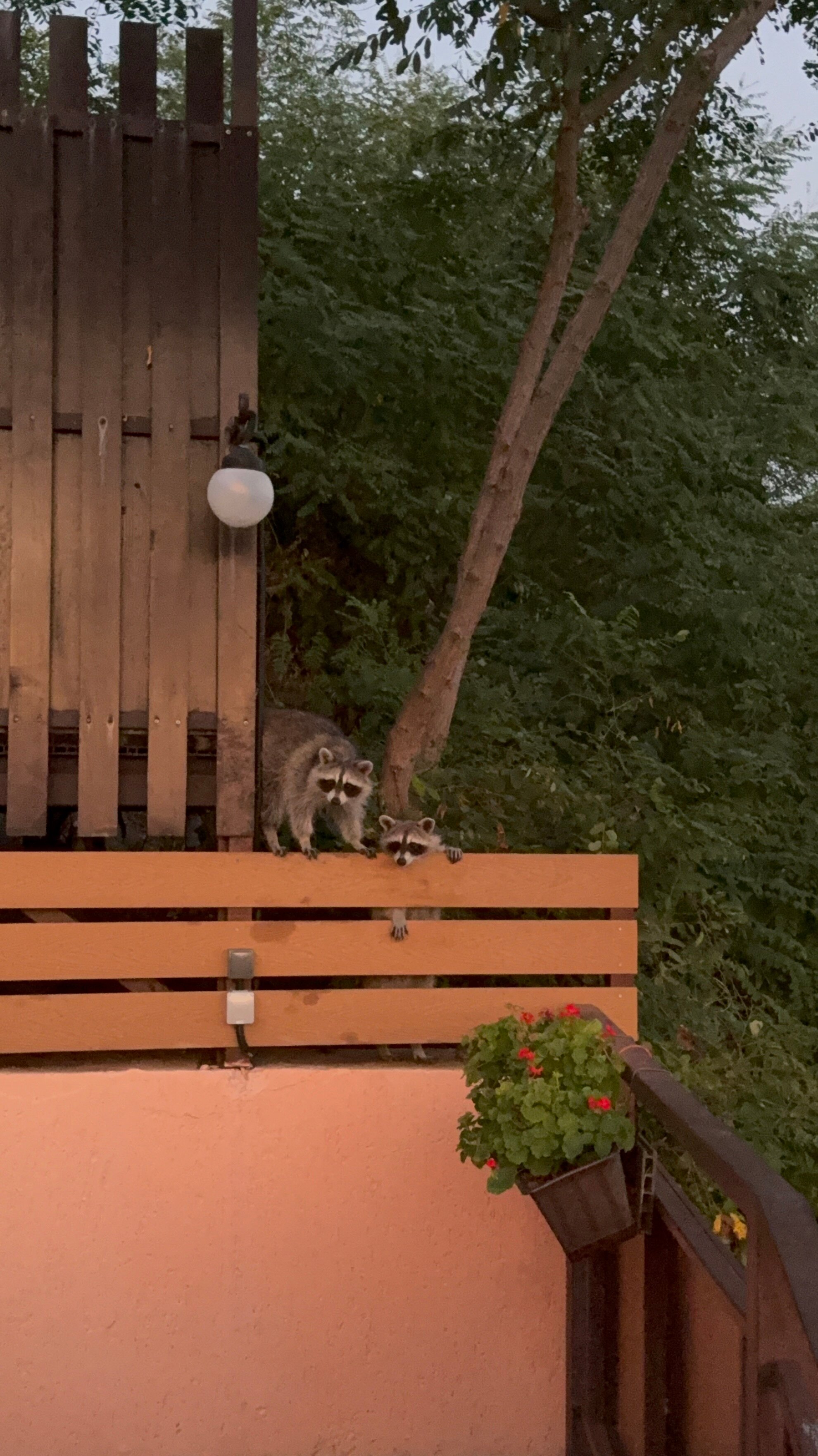 Фото Дом у моря