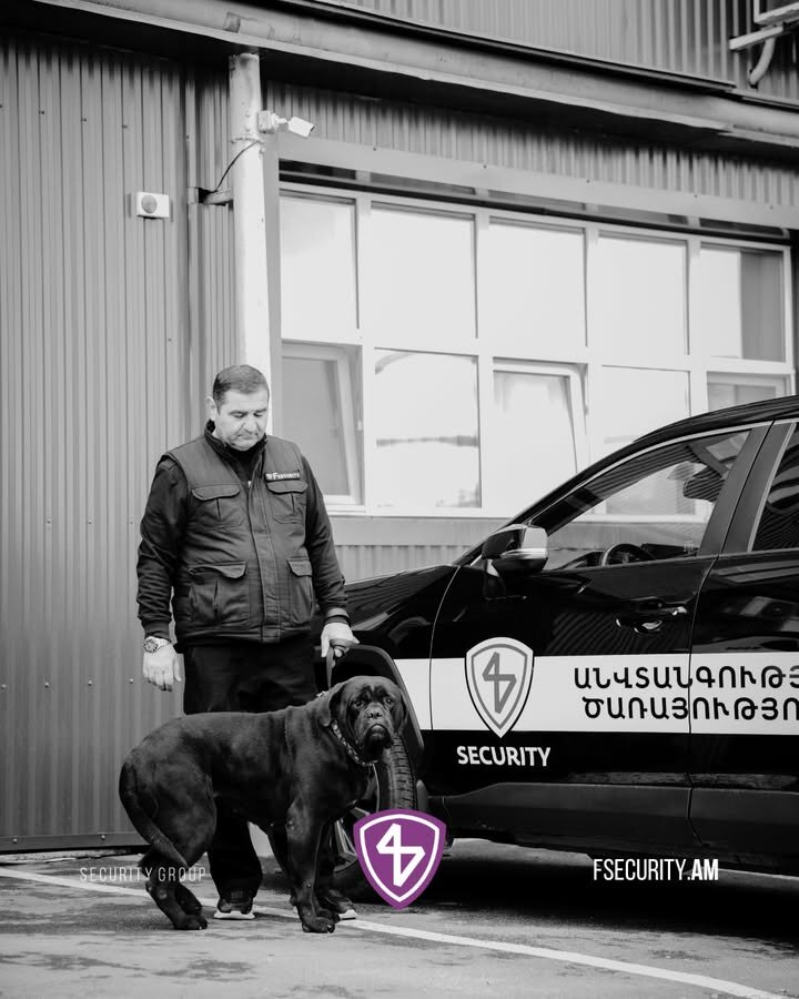 Security company Fsecurity, Yerevan, photo