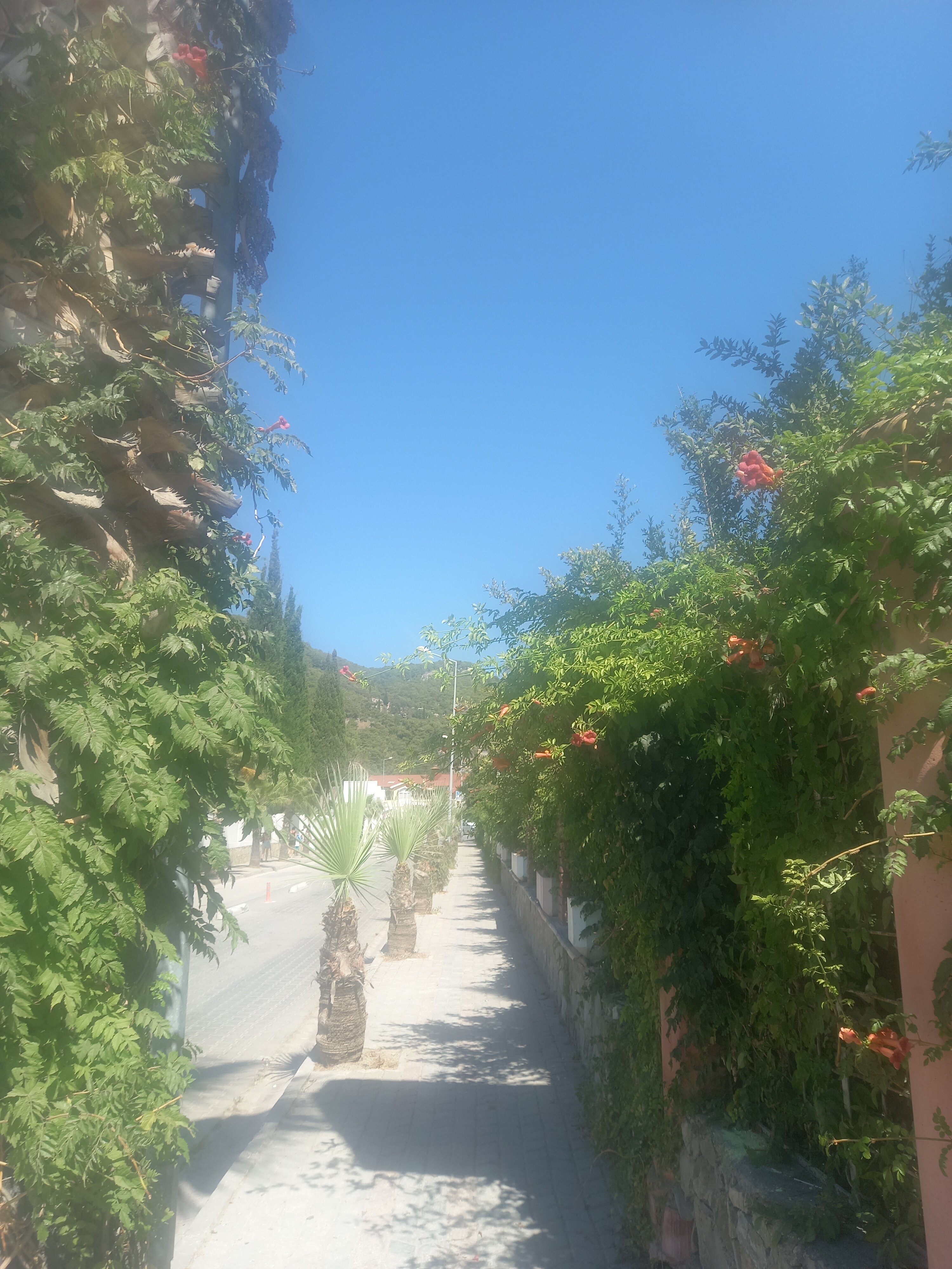 Фото The Pearl Oludeniz