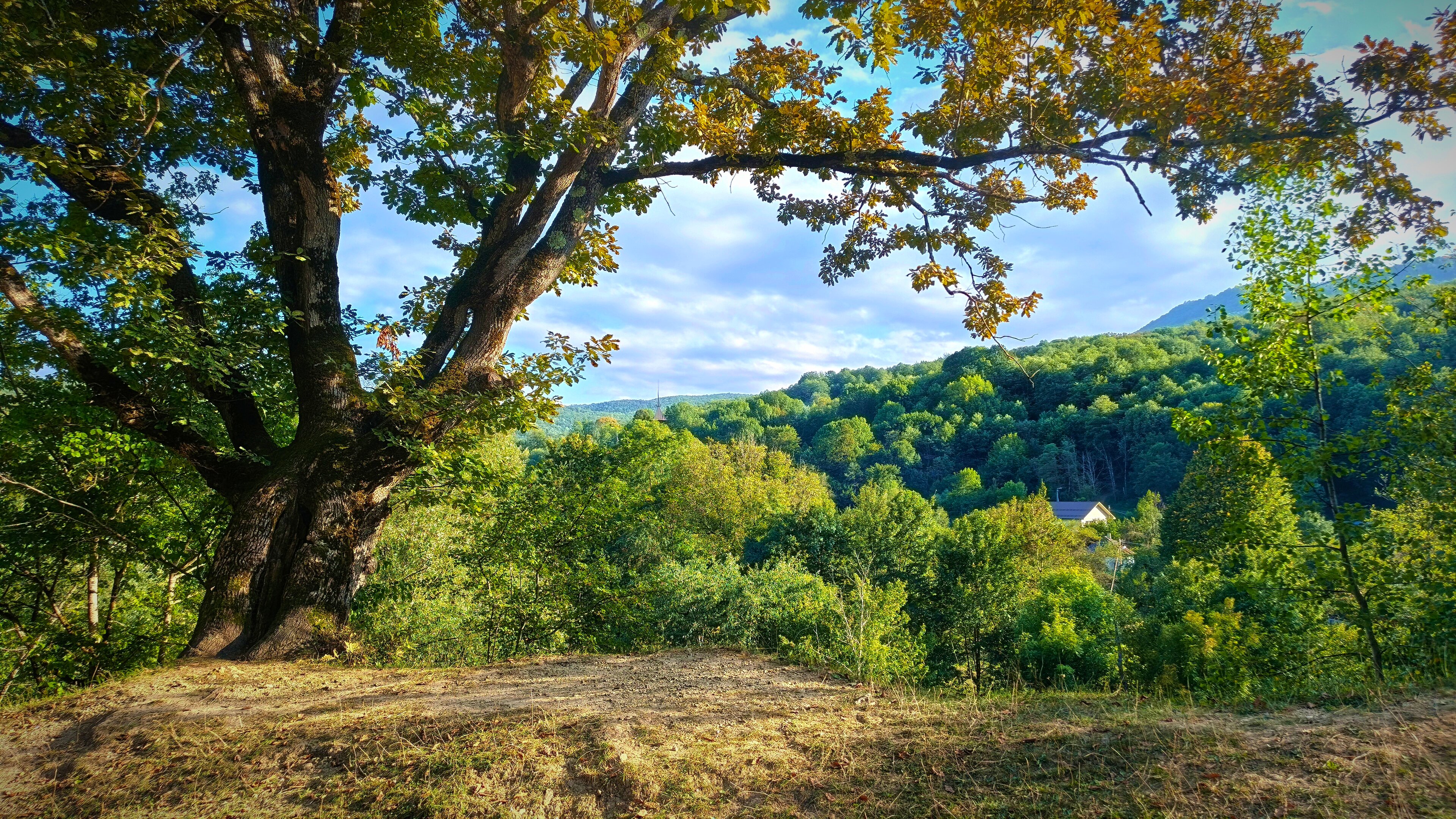 Фото Солнечный ветер