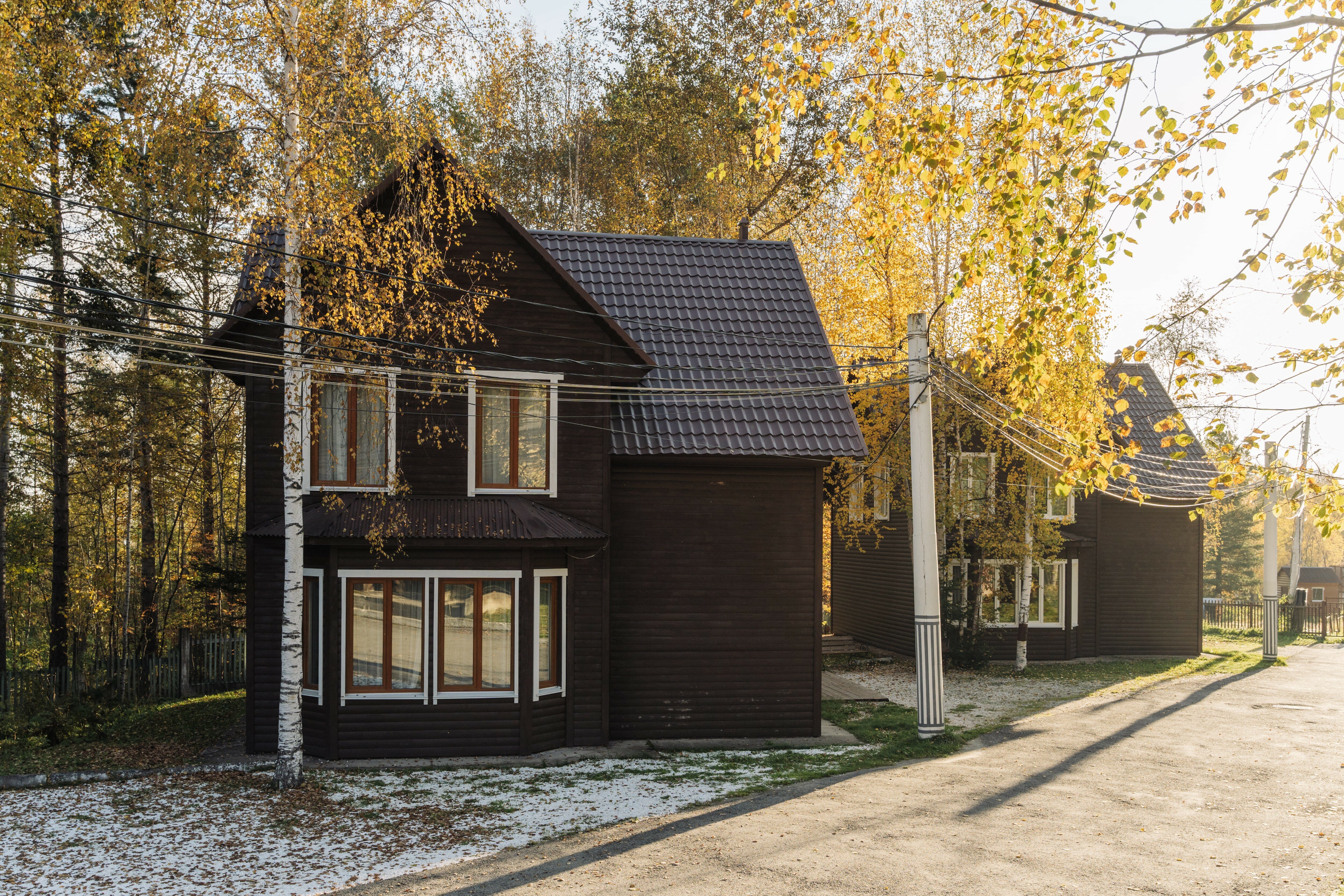 Фото Белый соболь