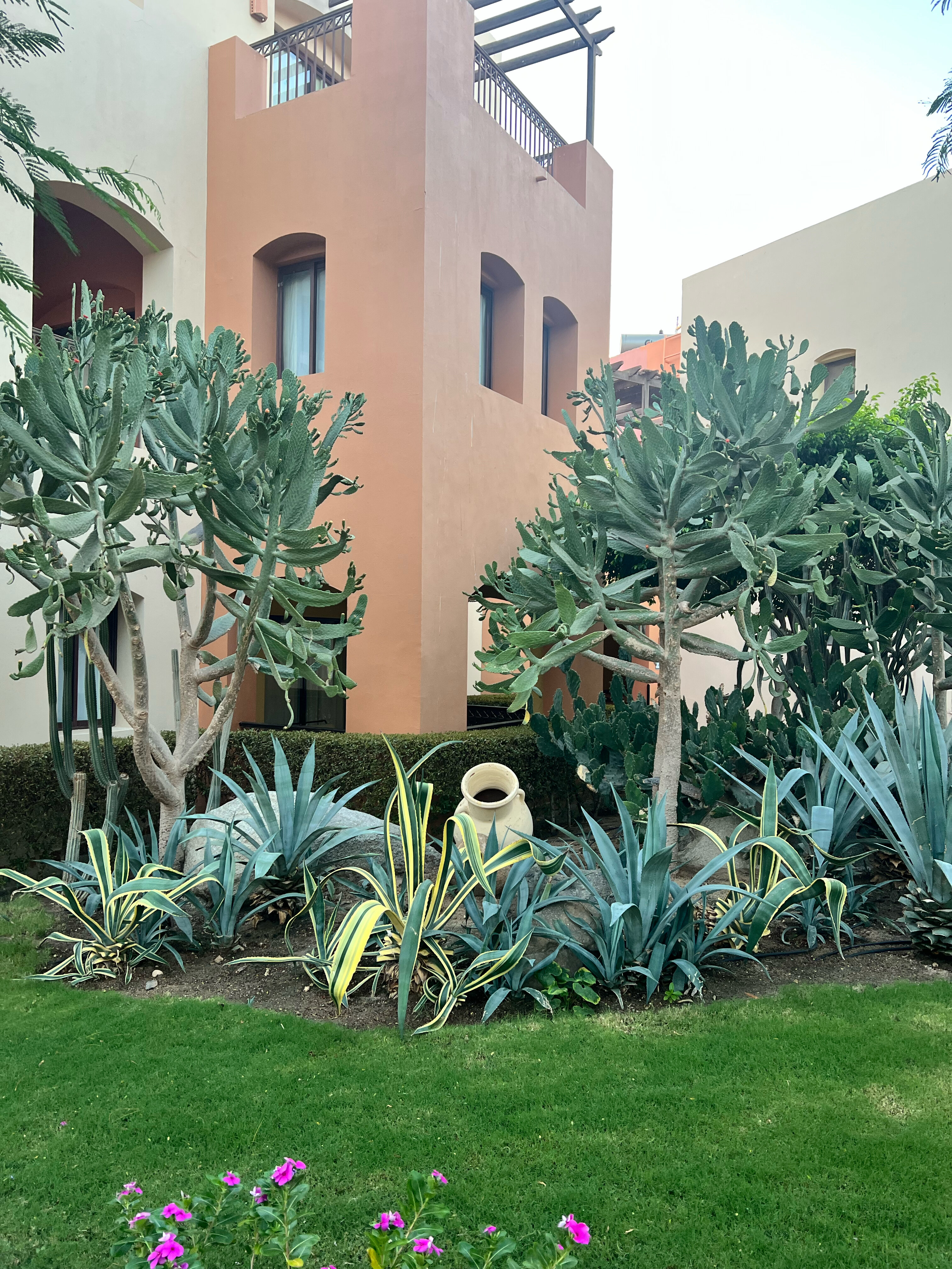 Фото Jaz Makadi Saraya Resort