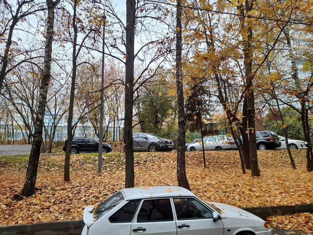 Playground Playground, Moscow, photo