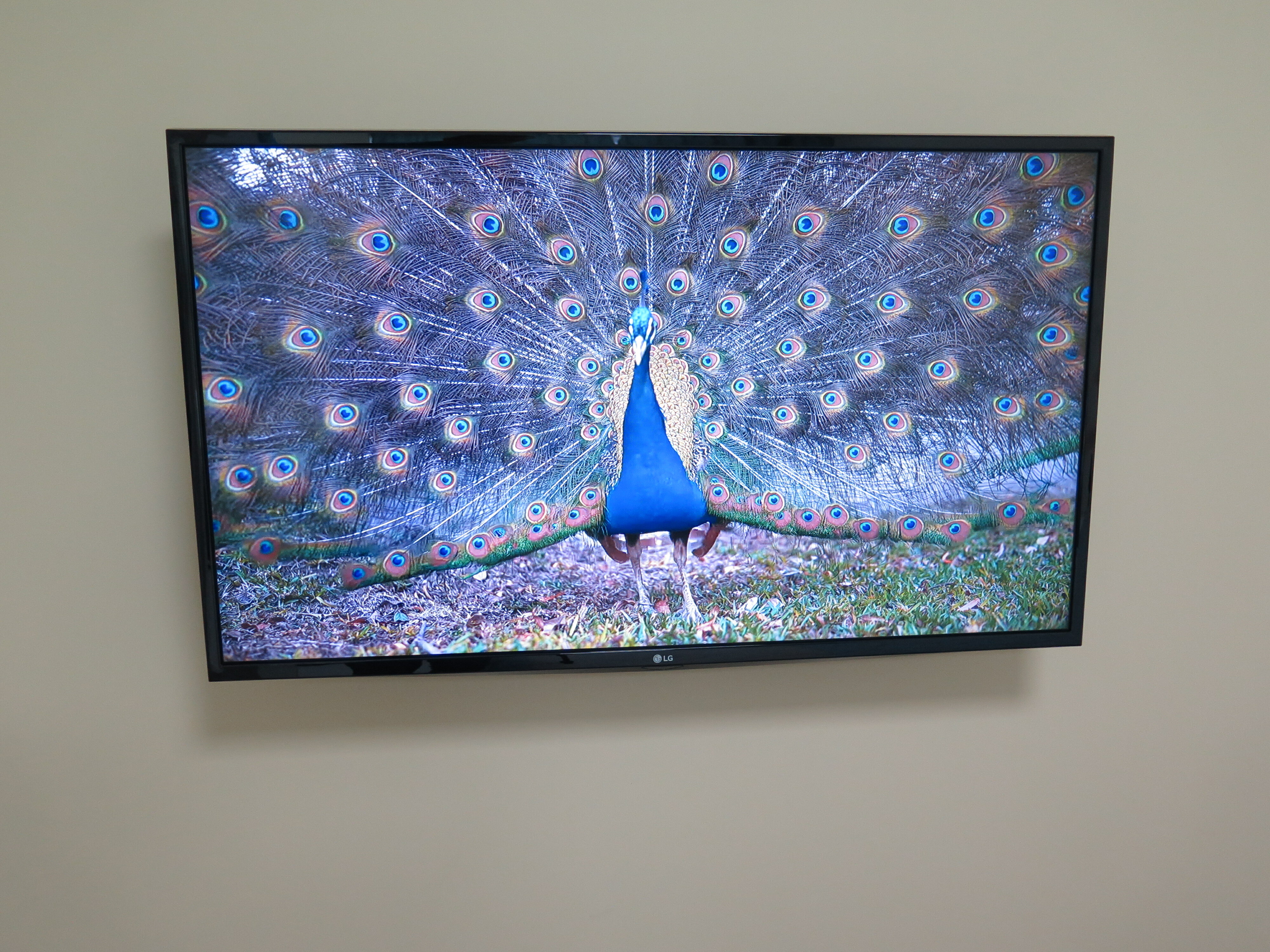 Фото Wellrus Family Apartments