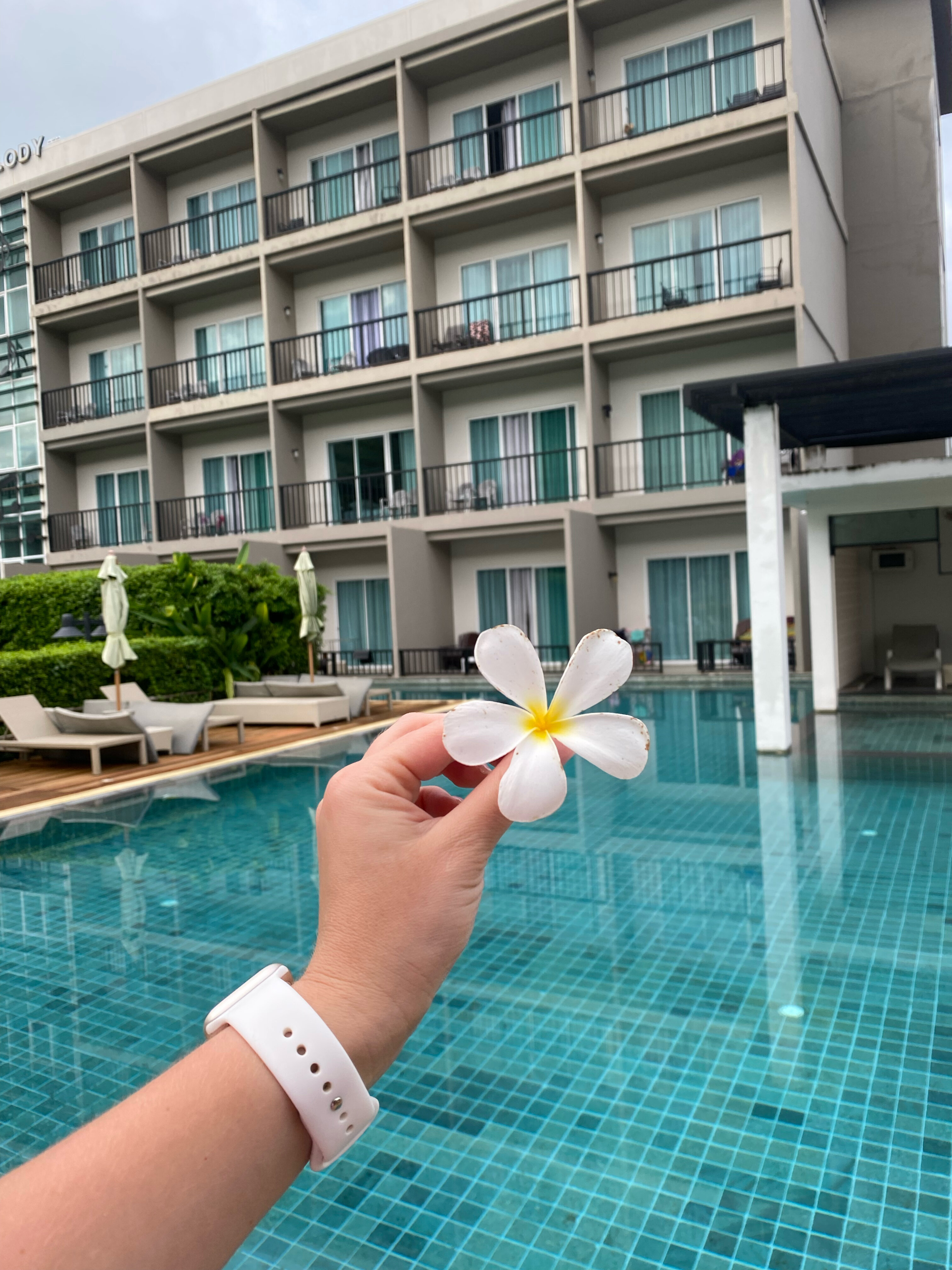 Фото The Melody Phuket