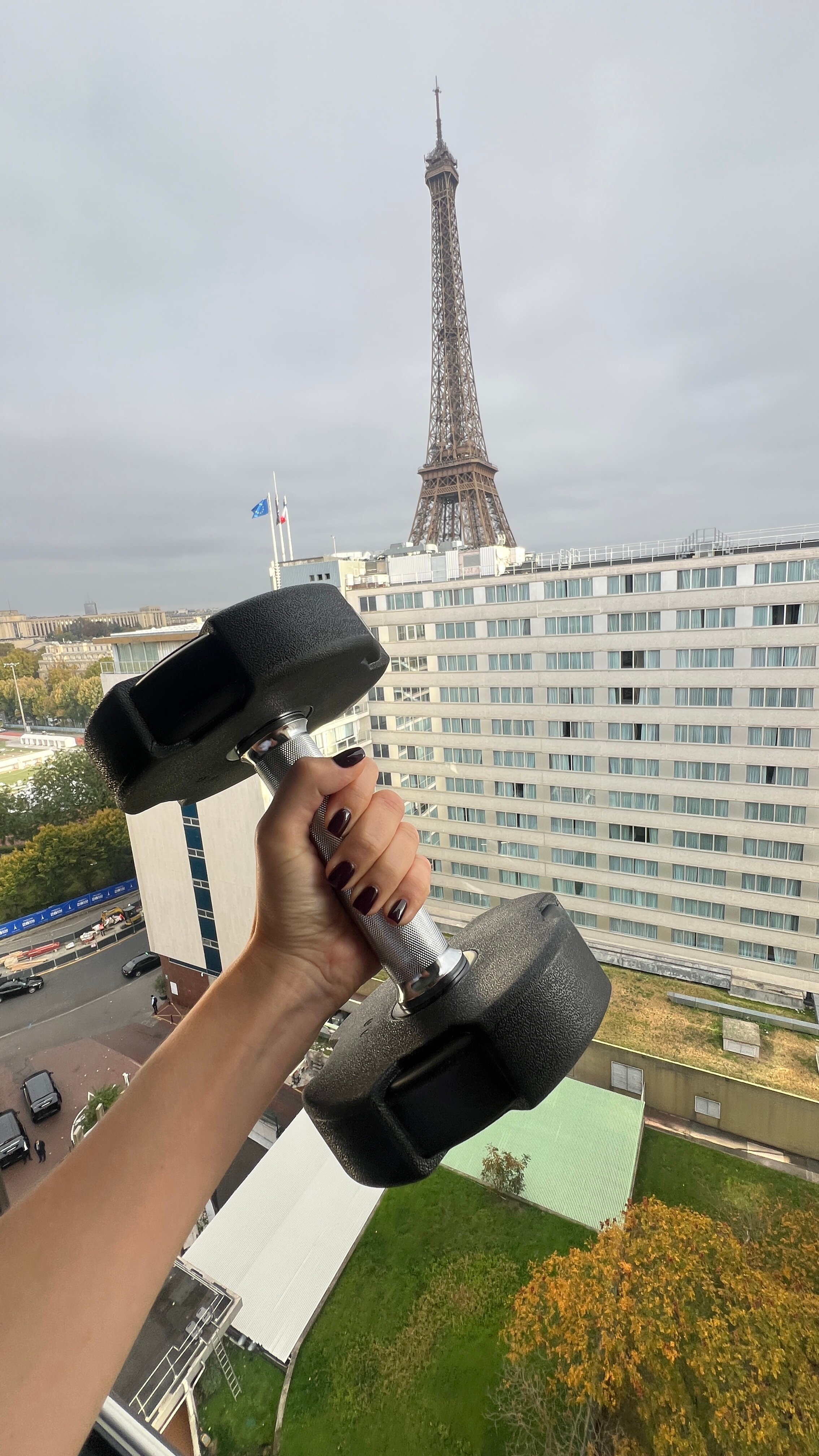 Фото Hôtel Mercure Paris Centre Tour Eiffel