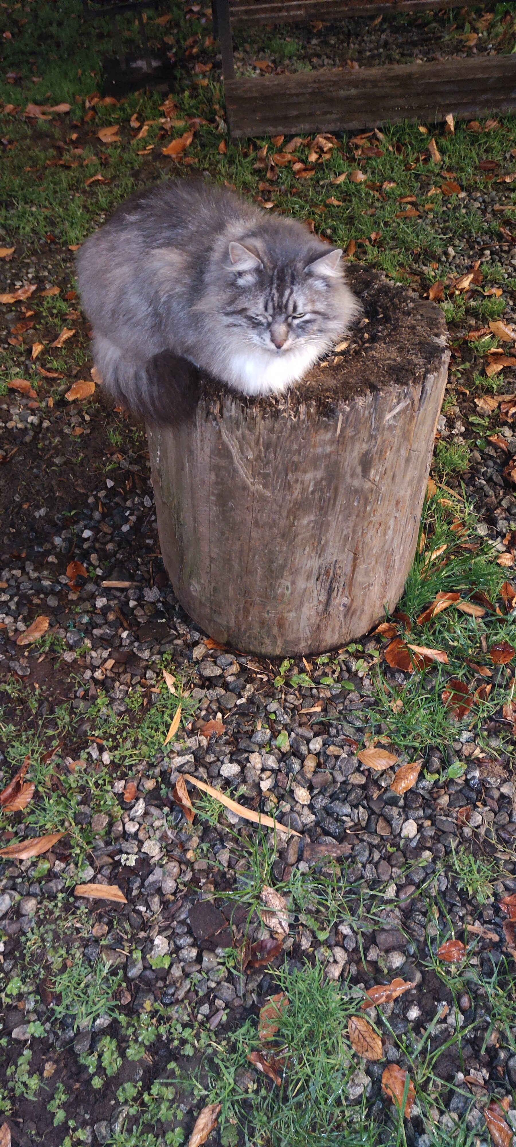 Фото Архыз Резорт