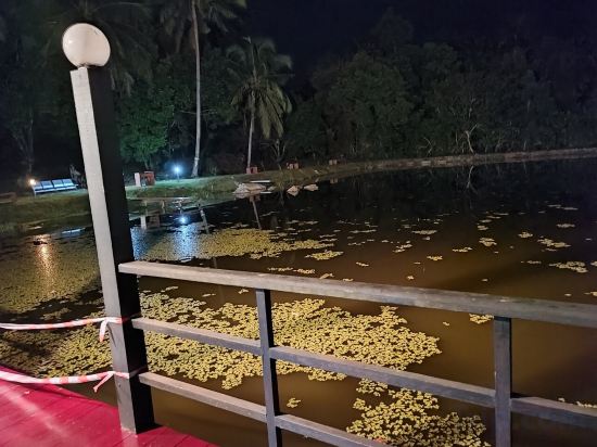 Фото Oyo 90287 Rb Homestay & Farms