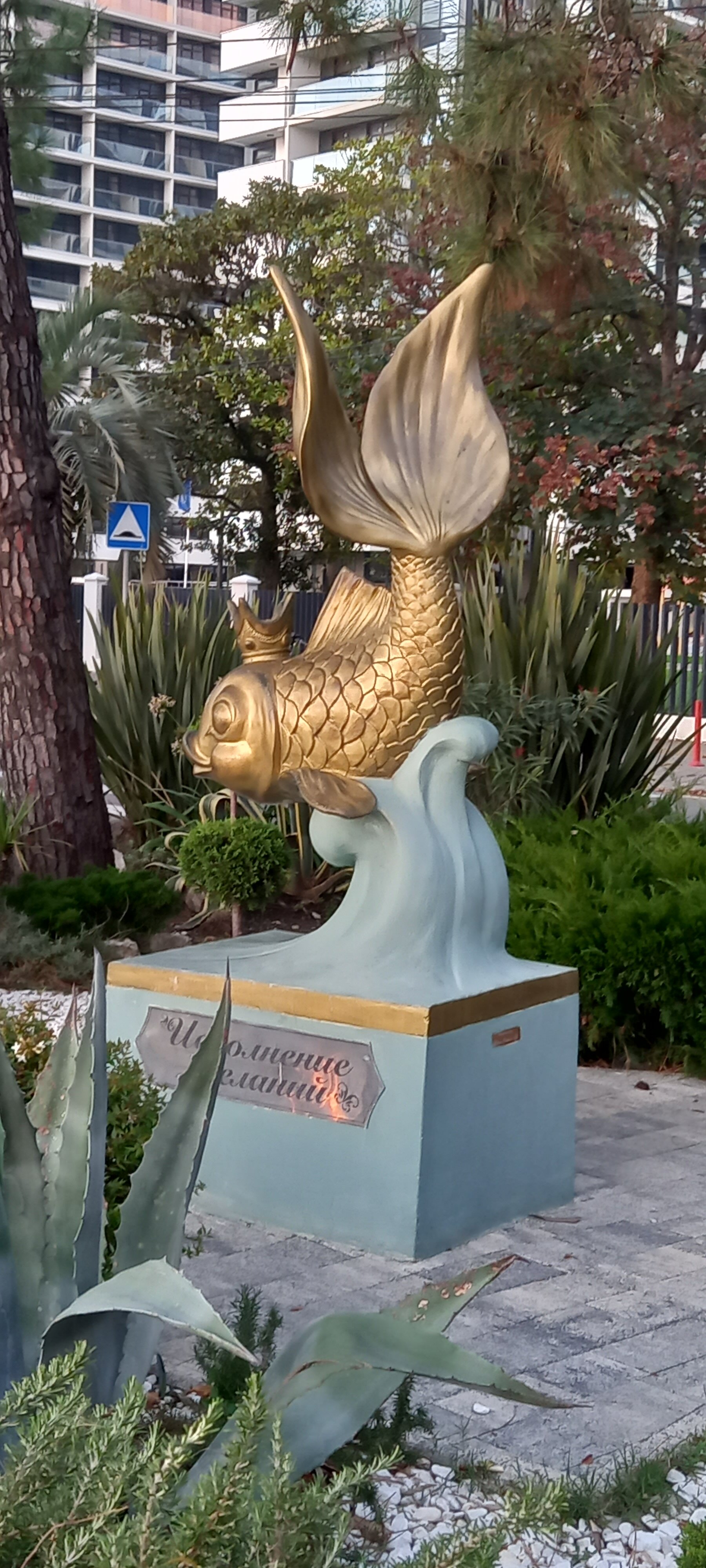 Фото Прованс