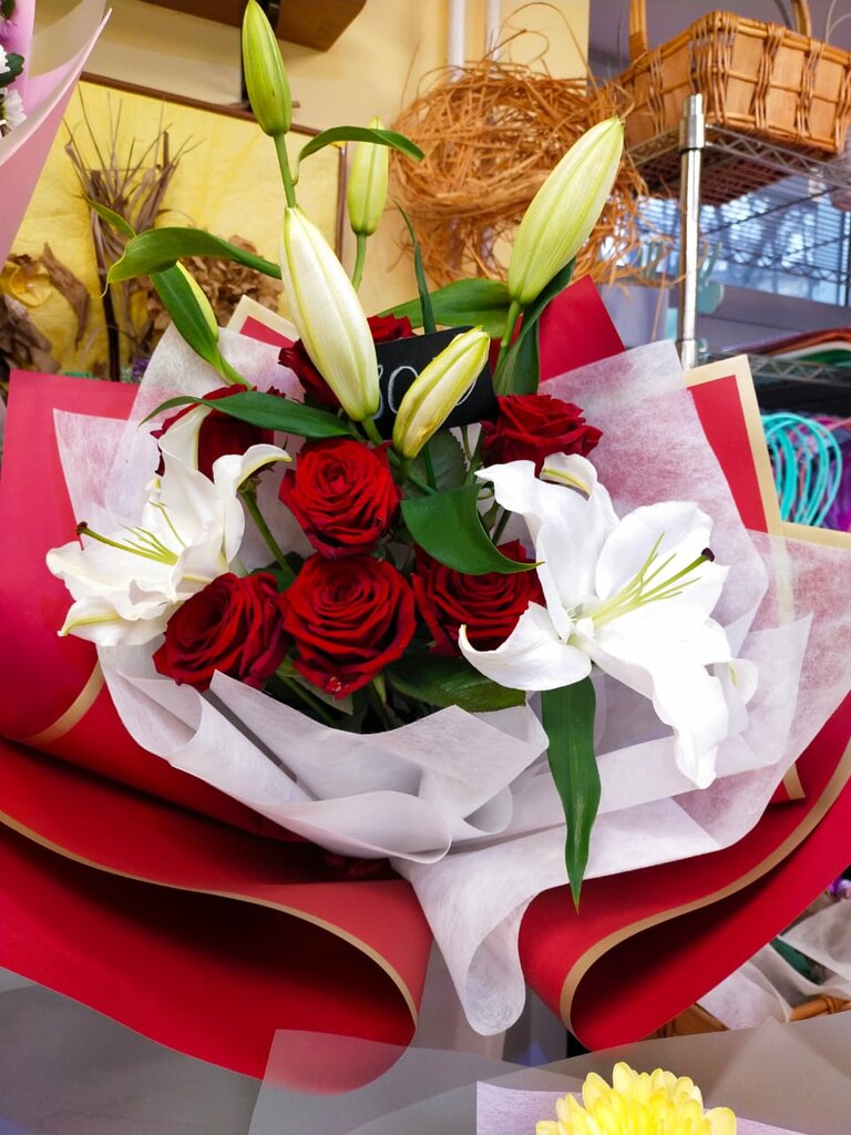 Кристина Мальковская