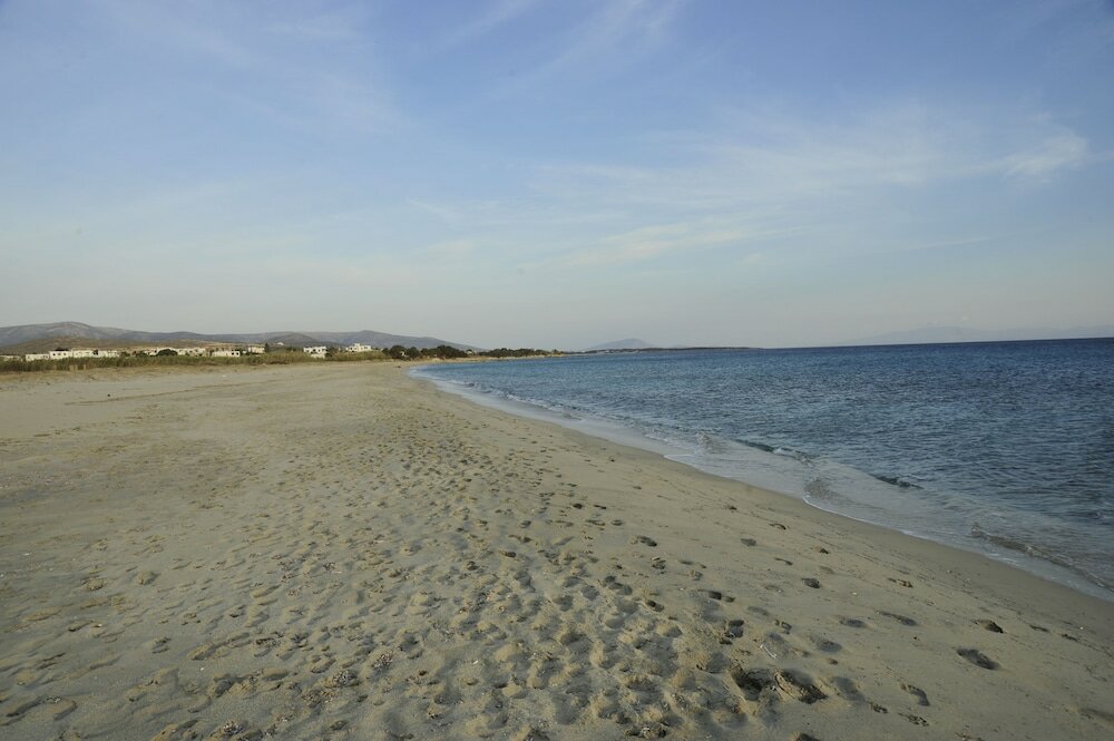 Фото Scala Apartments