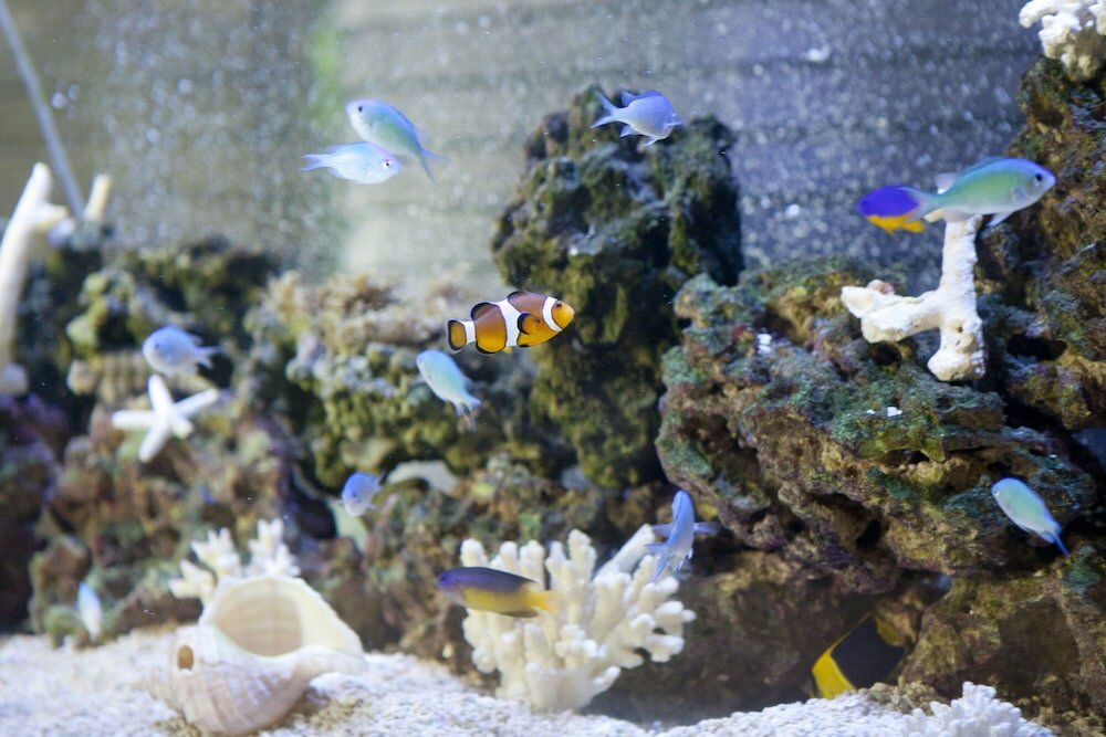 Фото Almont Hotel Naha Kenchomae