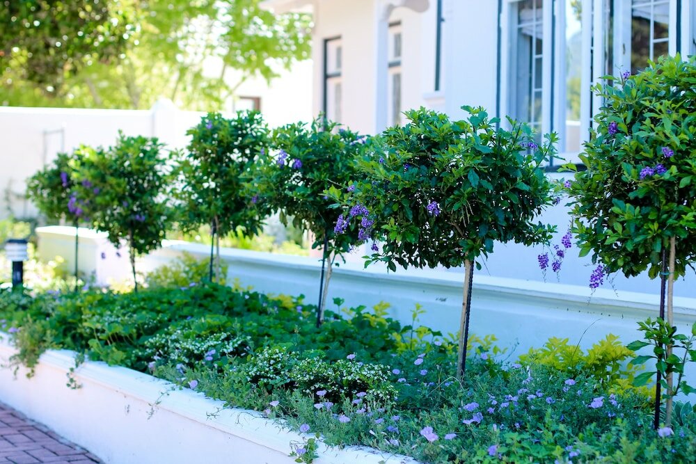 Фото Whispering Oaks