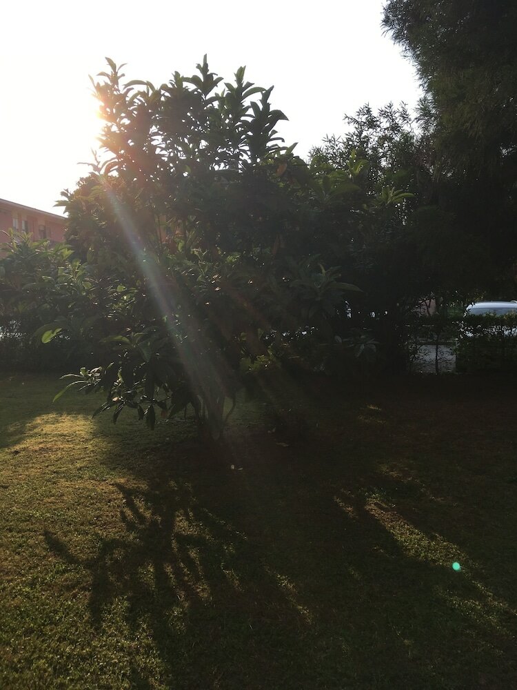 Фото Bed and Breakfast Bio Salix