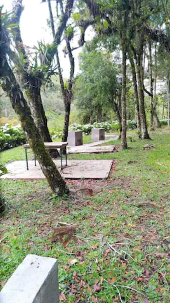 Фото Plaza Inn Week Inn