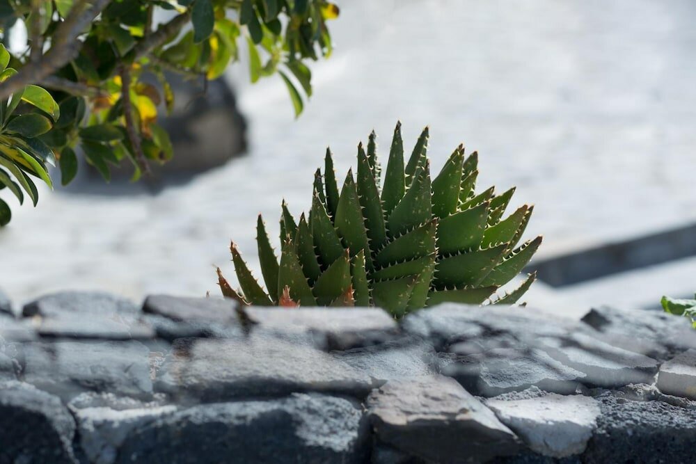 Фото Anchor Suites