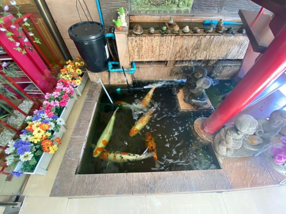 Фото Honey House 2