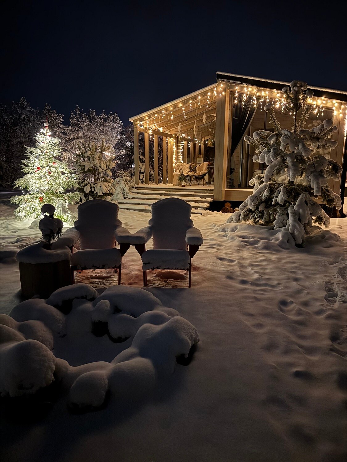 Фото Дача в соснах