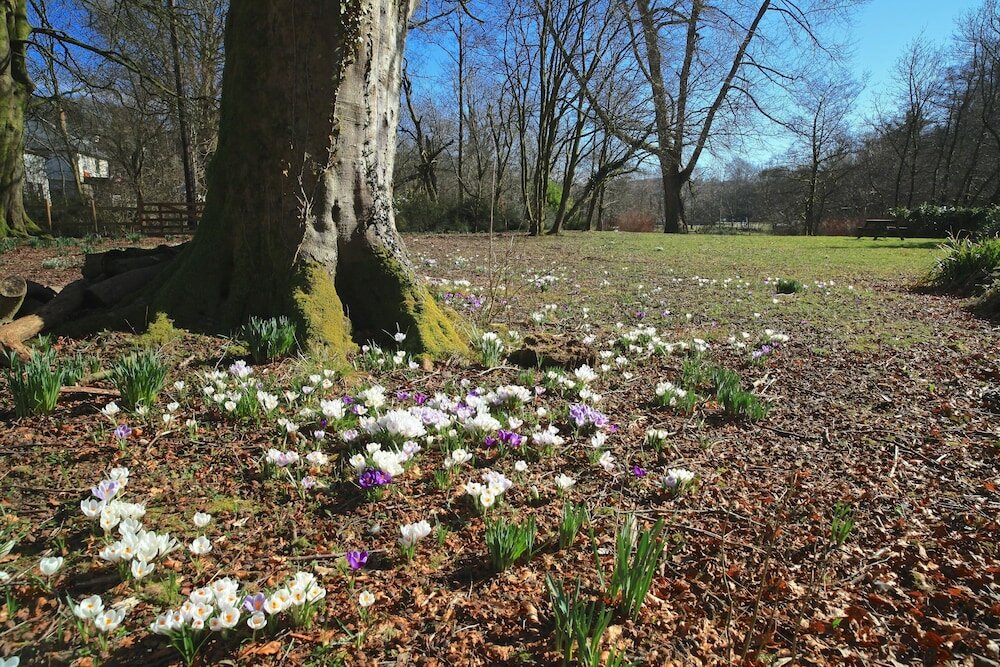 Фото Exmoor White Horse Inn