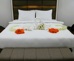 Гостиница Plaza Athenee Hotel