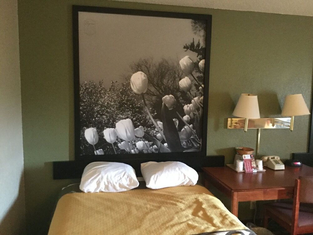 Фото Super 8 by Wyndham Youngstown/Austintown