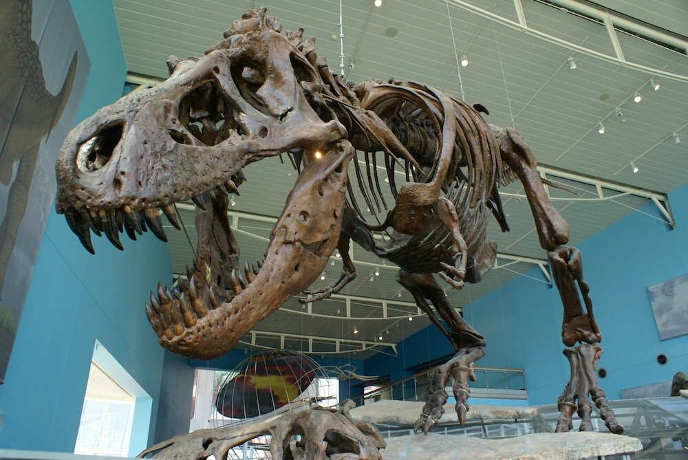 Фото Staybridge Suites Baltimore - Inner Harbor, an Ihg Hotel