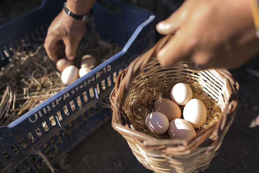 Фото Sperveri Boutique Hotel