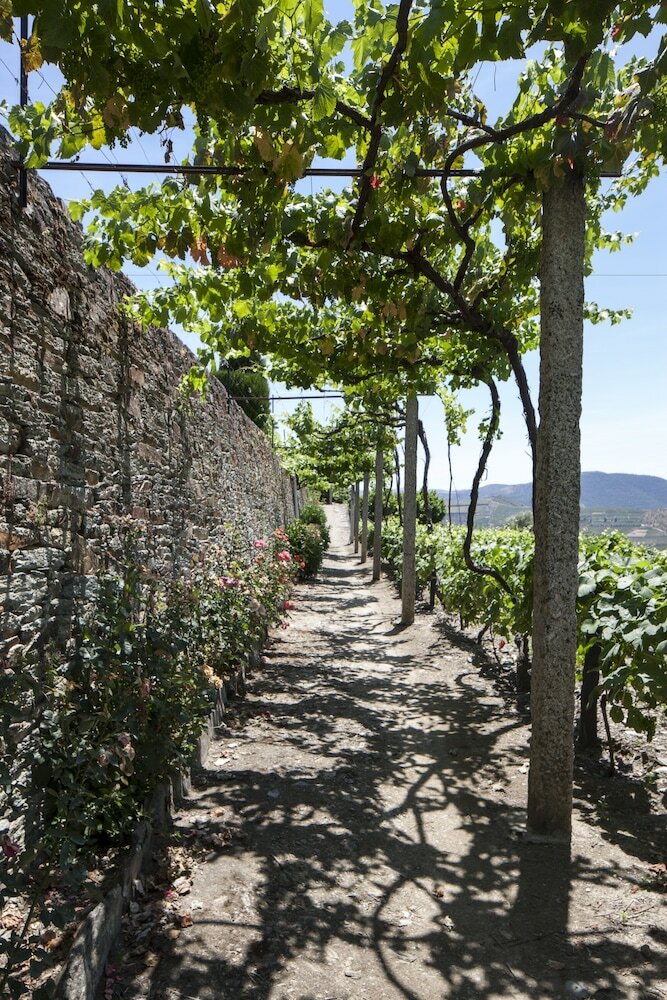 Фото Casa de Casal de Loivos