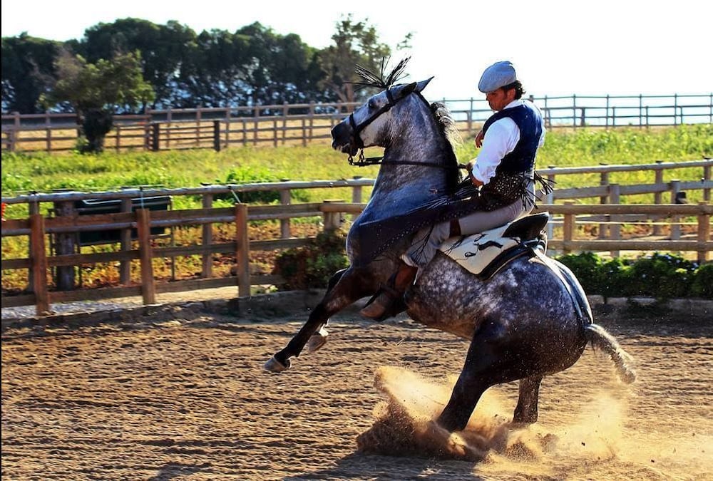 Фото Cortijo el Indiviso