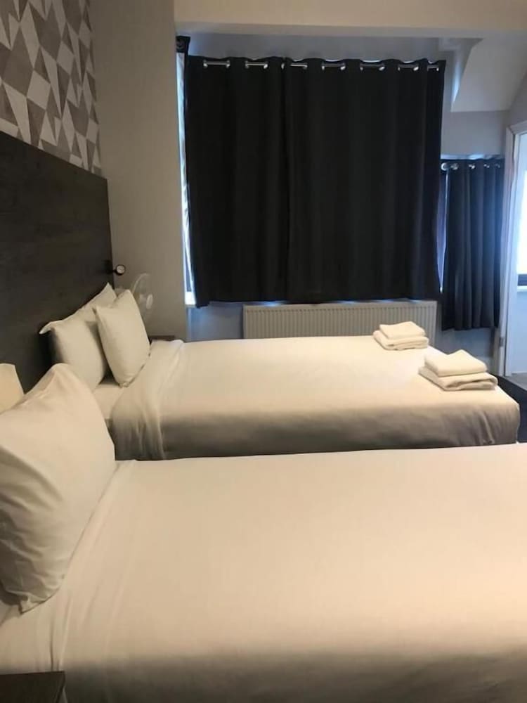 Фото Casuarina Tree