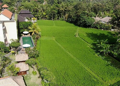 Внешний вид отеля Byasa Ubud в Пелиатане, фото 3