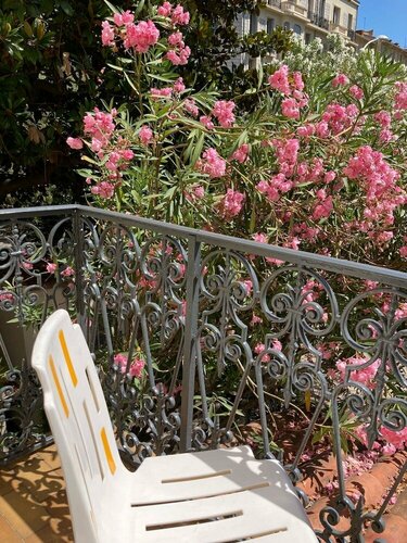 Гостевой дом Hotel Belle Meuniere в Ницце