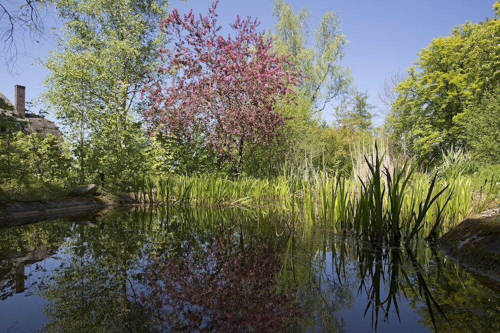 Фото Parkhotel Cup Vitalis