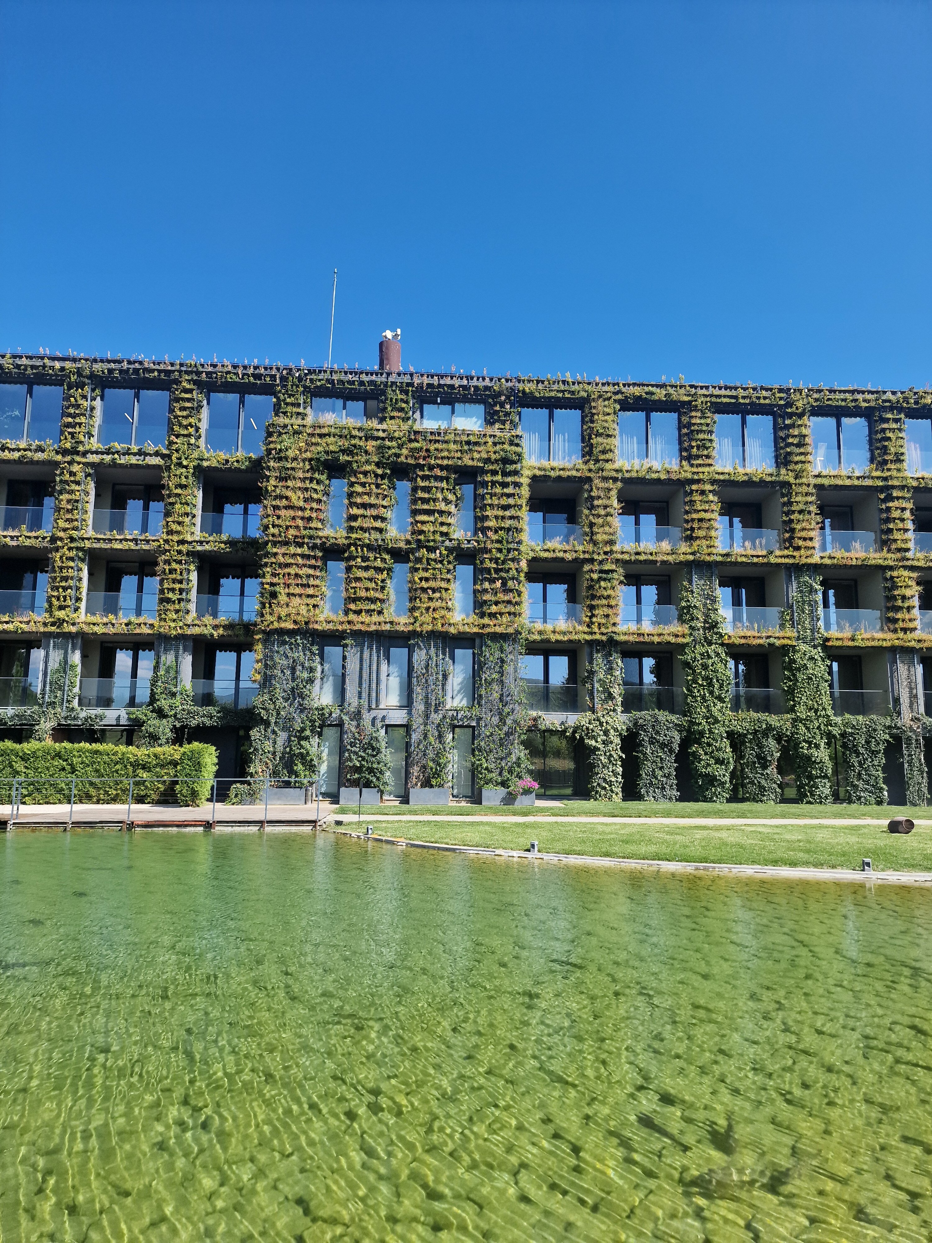 Фото Tsinandali Estate, A Radisson Collection Hotel