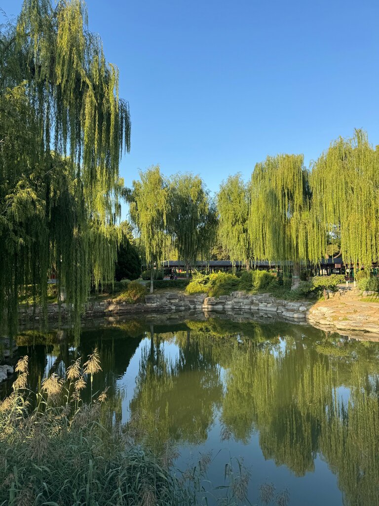 Парк культуры и отдыха Парк Чжуншань, Пекин, фото