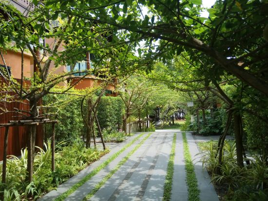 Фото Avatar Railay