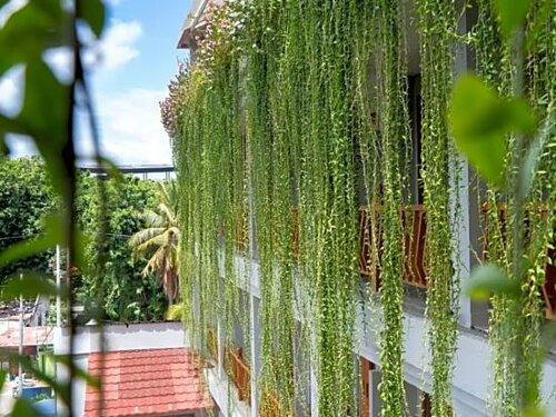 Внешний вид отеля Komodo Lodge в Лабуан-Баджо, фото 5