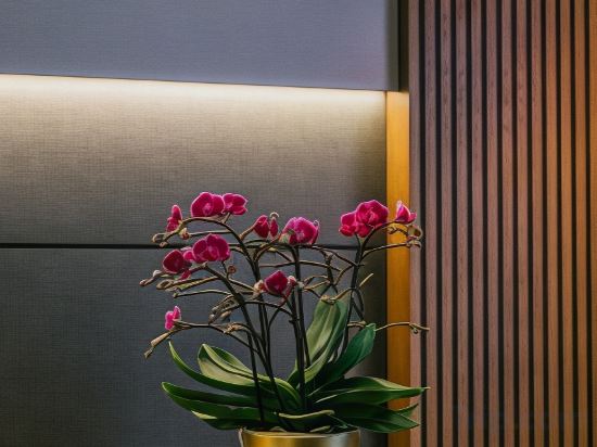 Фото Radisson Collection Hotel, Roma Antica