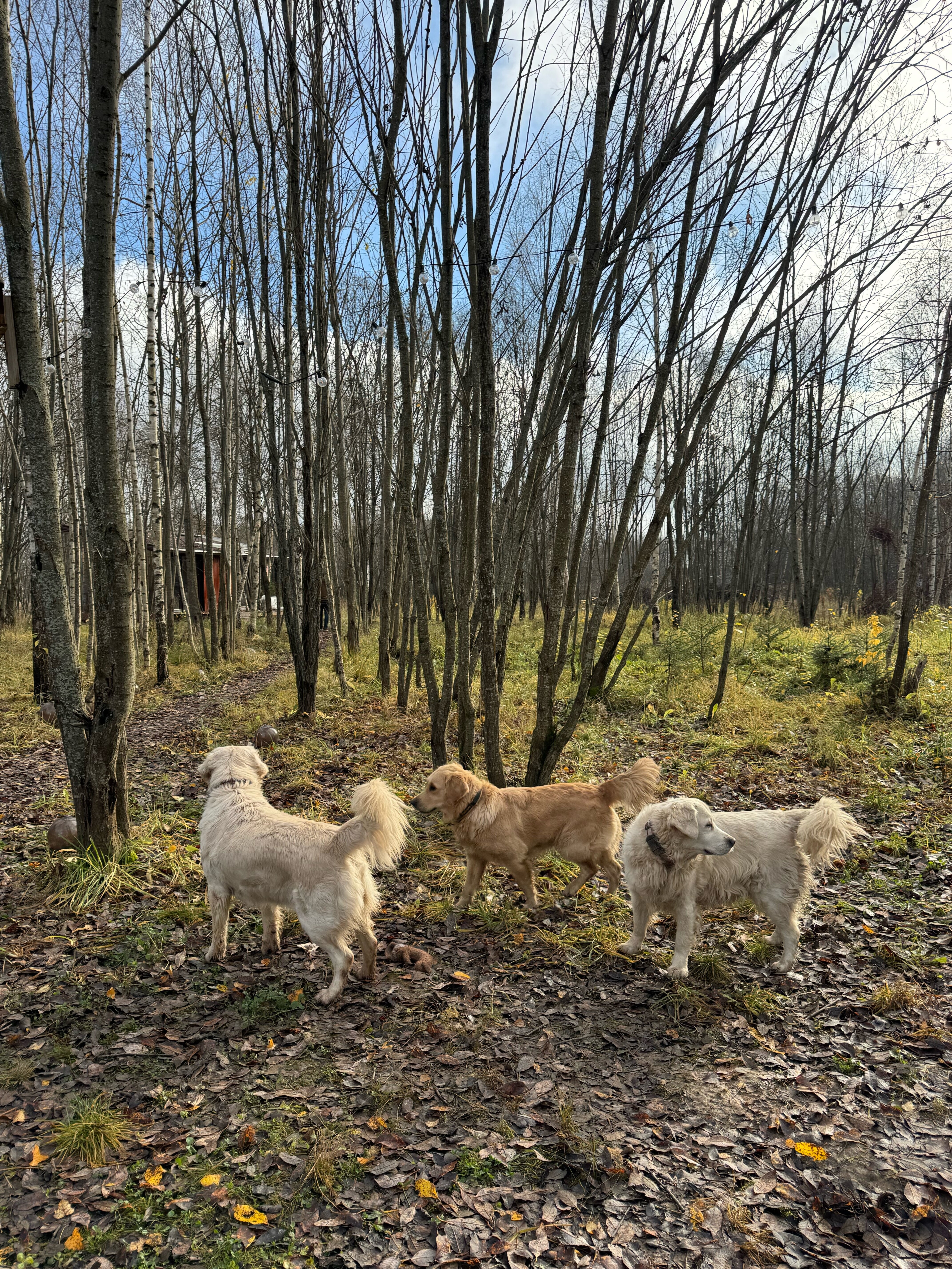 Фото Парк Север