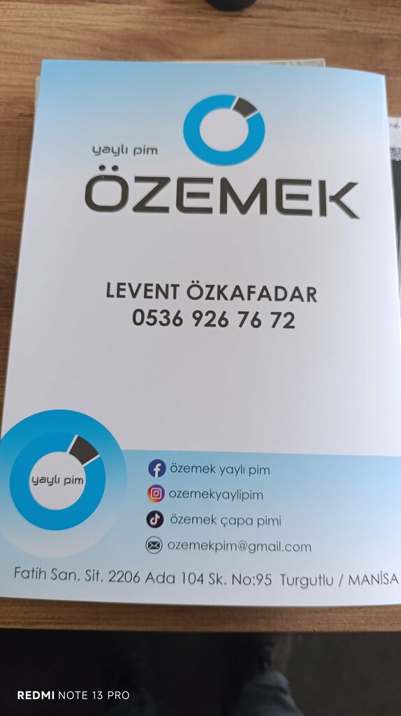 Industrial enterprise Privateemek Spring Pin, Turgutlu, photo