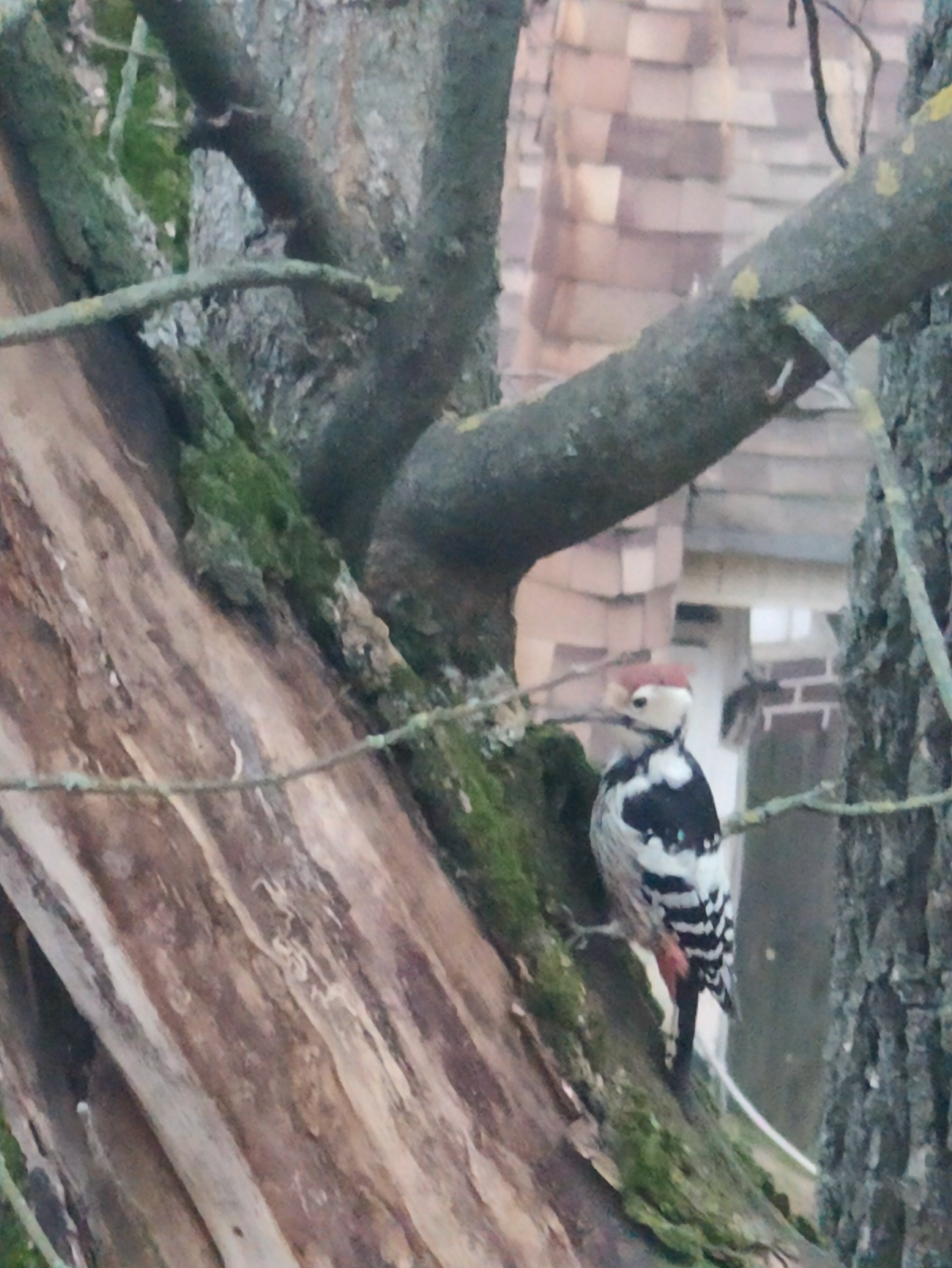 Фото Екатерина