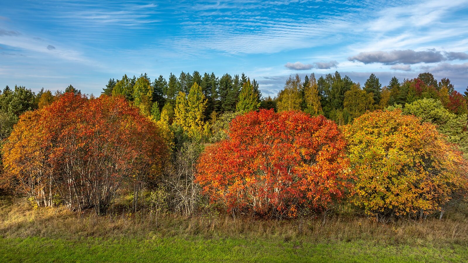 Фото Экотурсервис