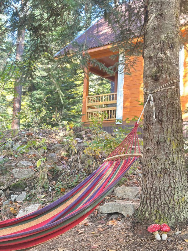 Фото Мухоморье