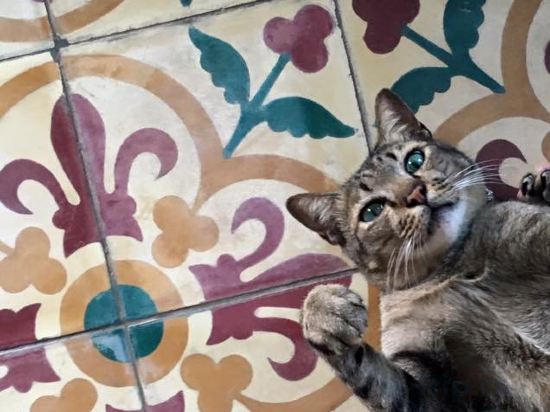 Фото Pages Rooms