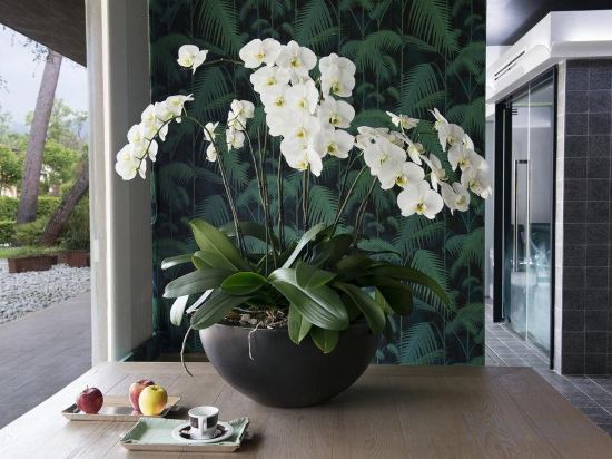 Фото Augustus Hotel & Resort